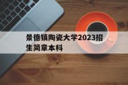 景德镇陶瓷大学2023招生简章本科(景德镇陶瓷大学2021年本科招生简章)